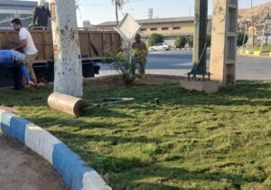 گام تازه شهرداری مسجدسلیمان در توسعه و زیباسازی فضای سبز شهری